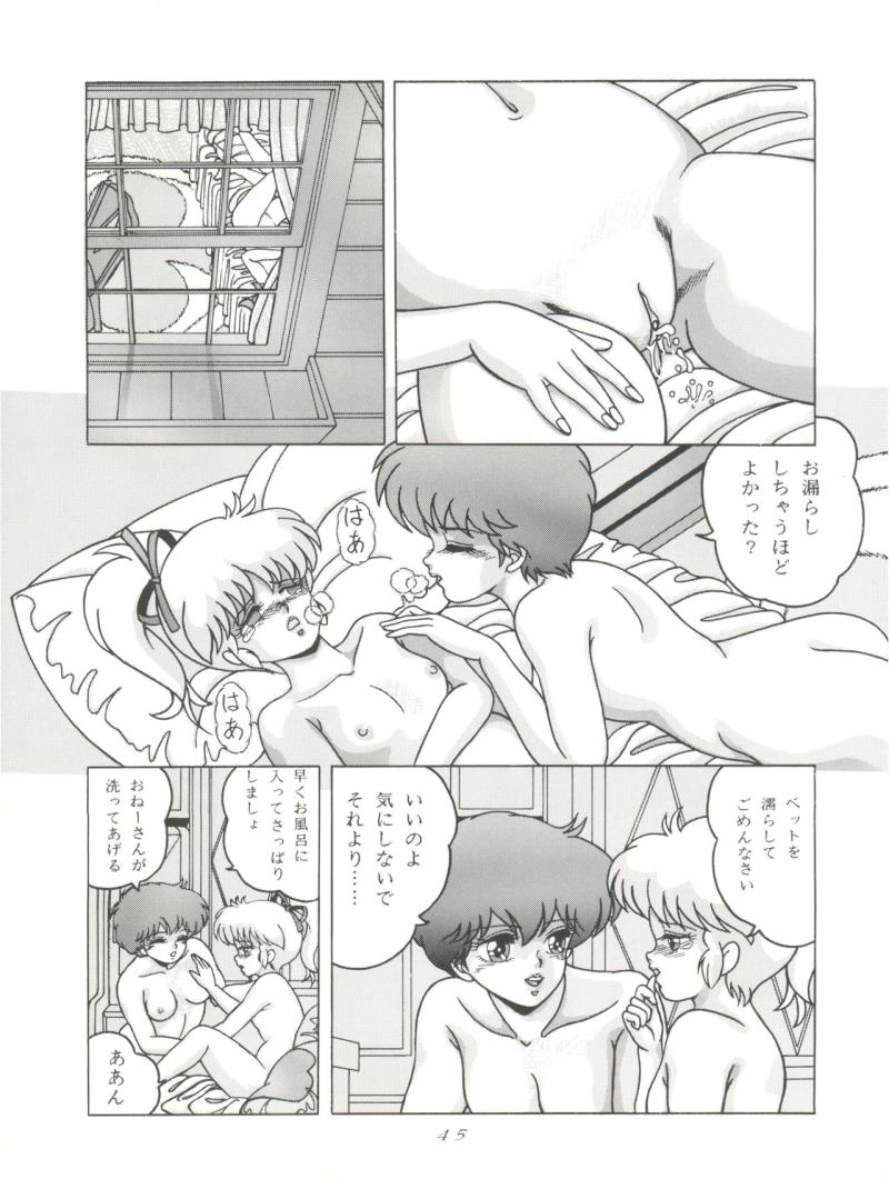 หน้า 46