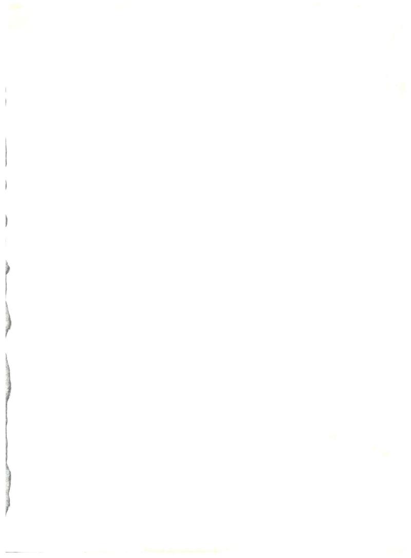 [Sairo Publishing (J. Sairo) En-Jack 2 (Various)