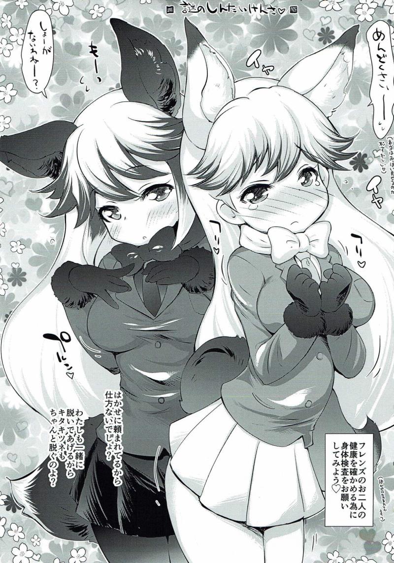 (C92) [MAGIC MACHINERY (RT.)] SILVER NORTH (Kemono Friends)