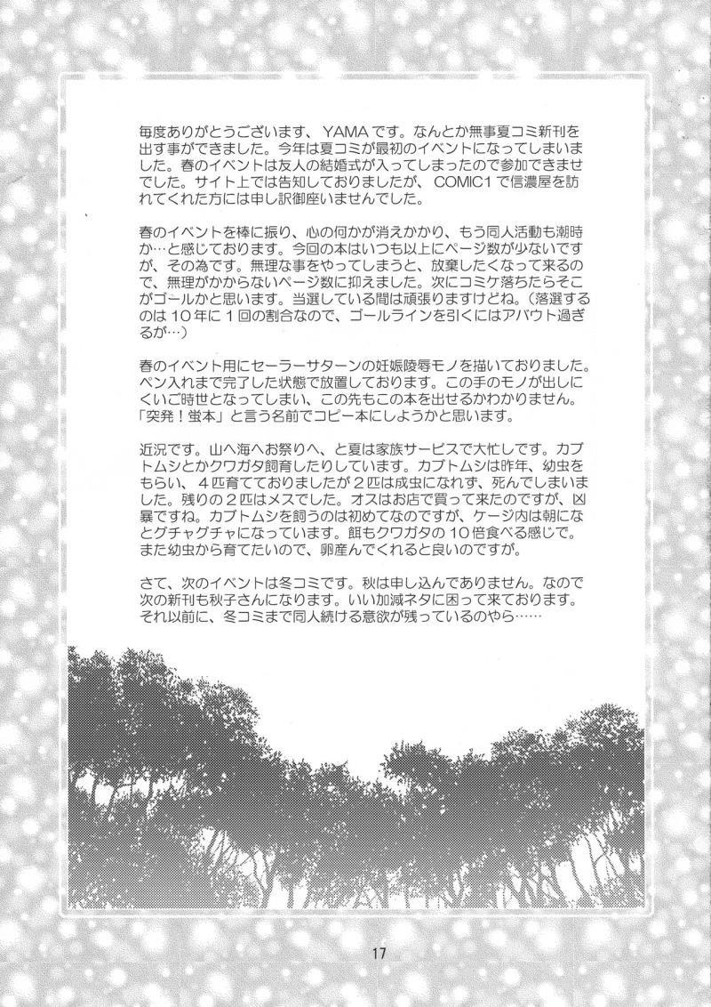 หน้า 17