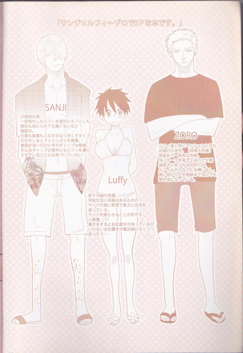 (C78) [Try Muscle (Arikawa Akira)] Triple Summer (One Piece) [English] {Hennojin}