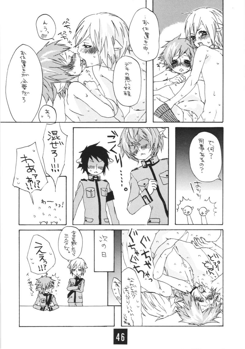 หน้า 45