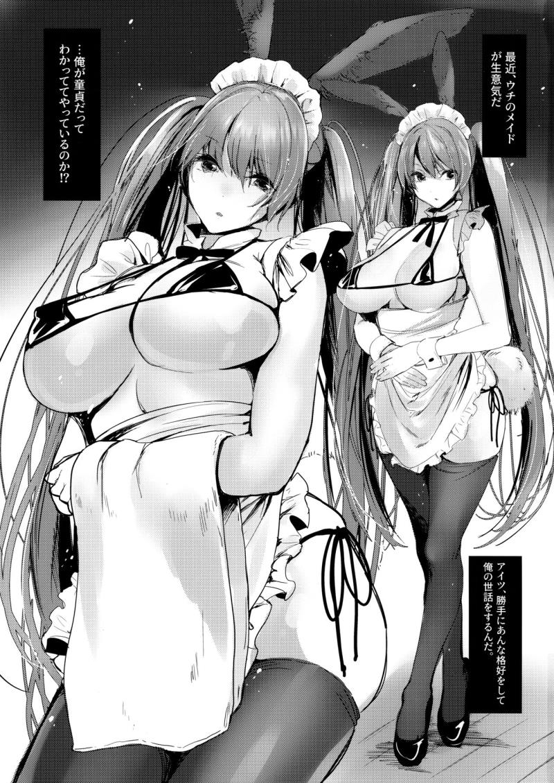 Bunny Maid no Chouhatsu