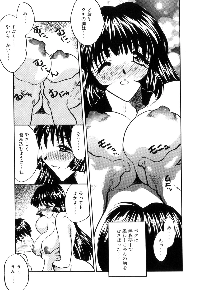หน้า 31