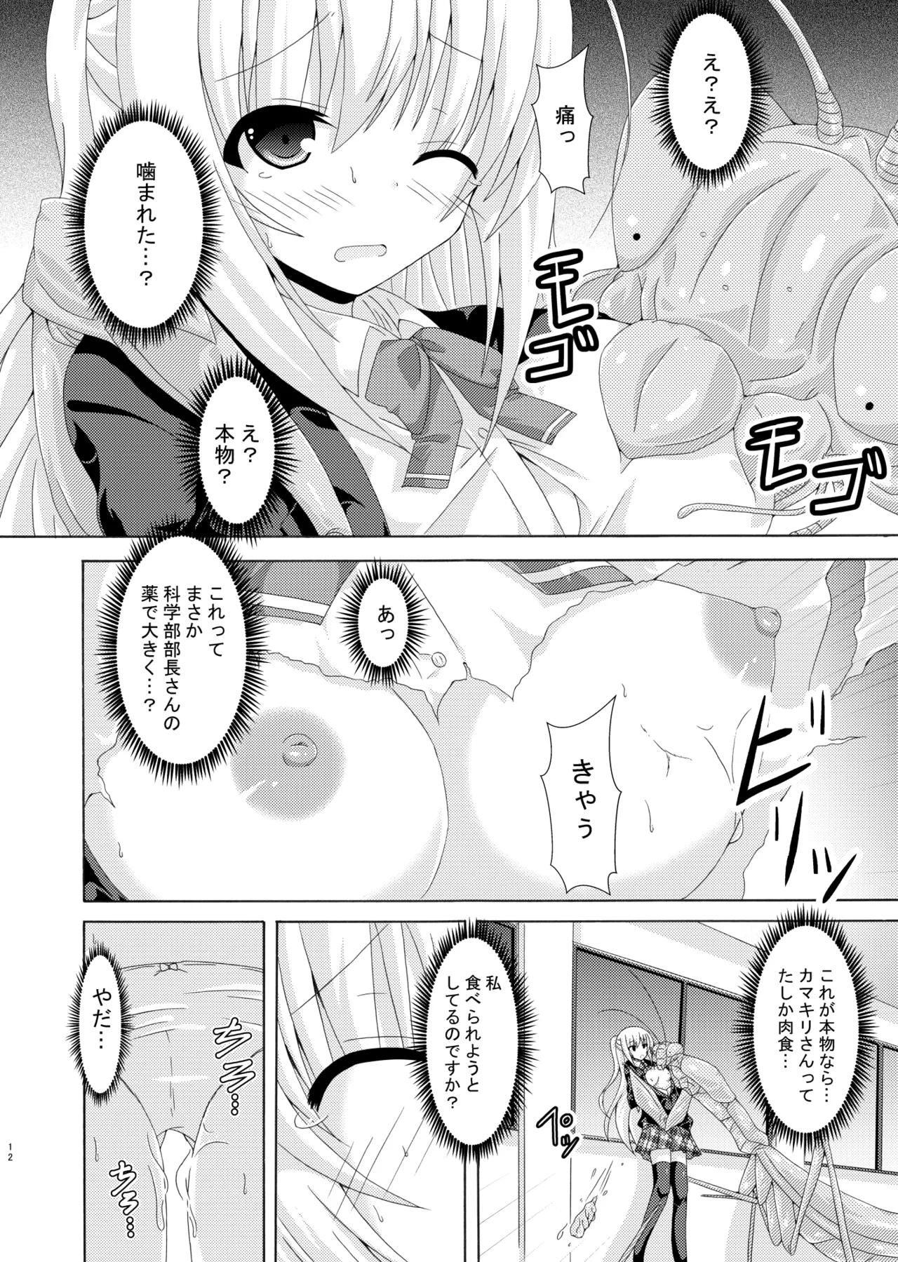 หน้า 11