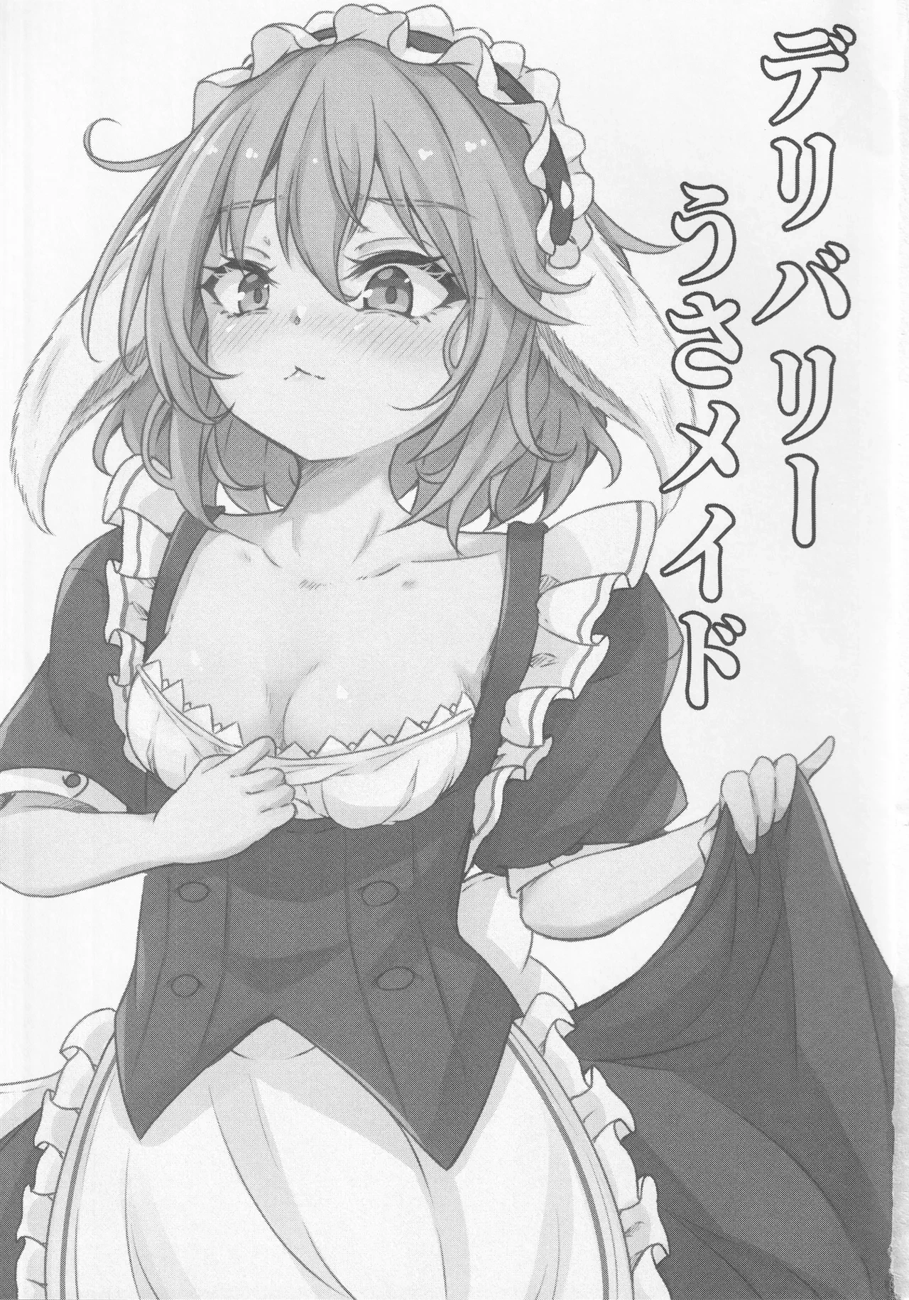 (Reitaisai 20) [Sinkirou (Dyon)] Delivery Usa Maid (Touhou Project)
