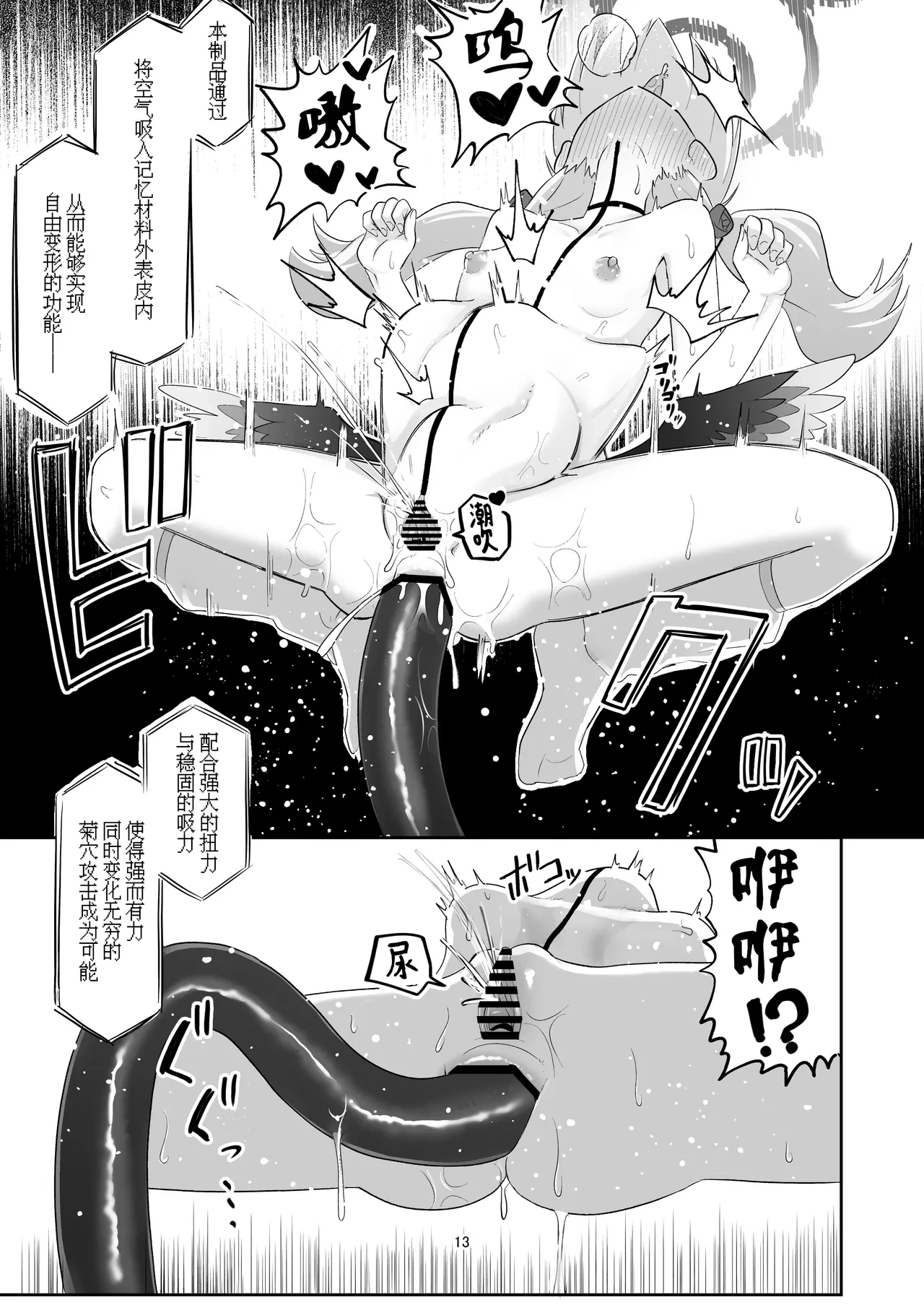 หน้า 13