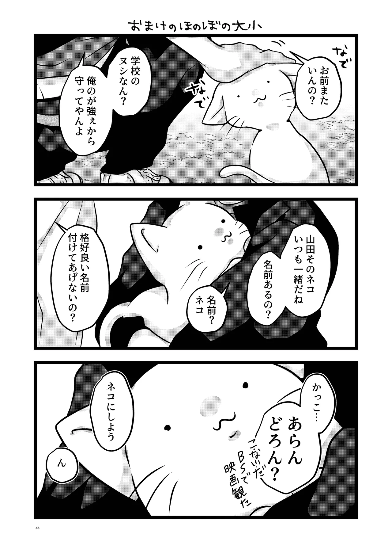 หน้า 45