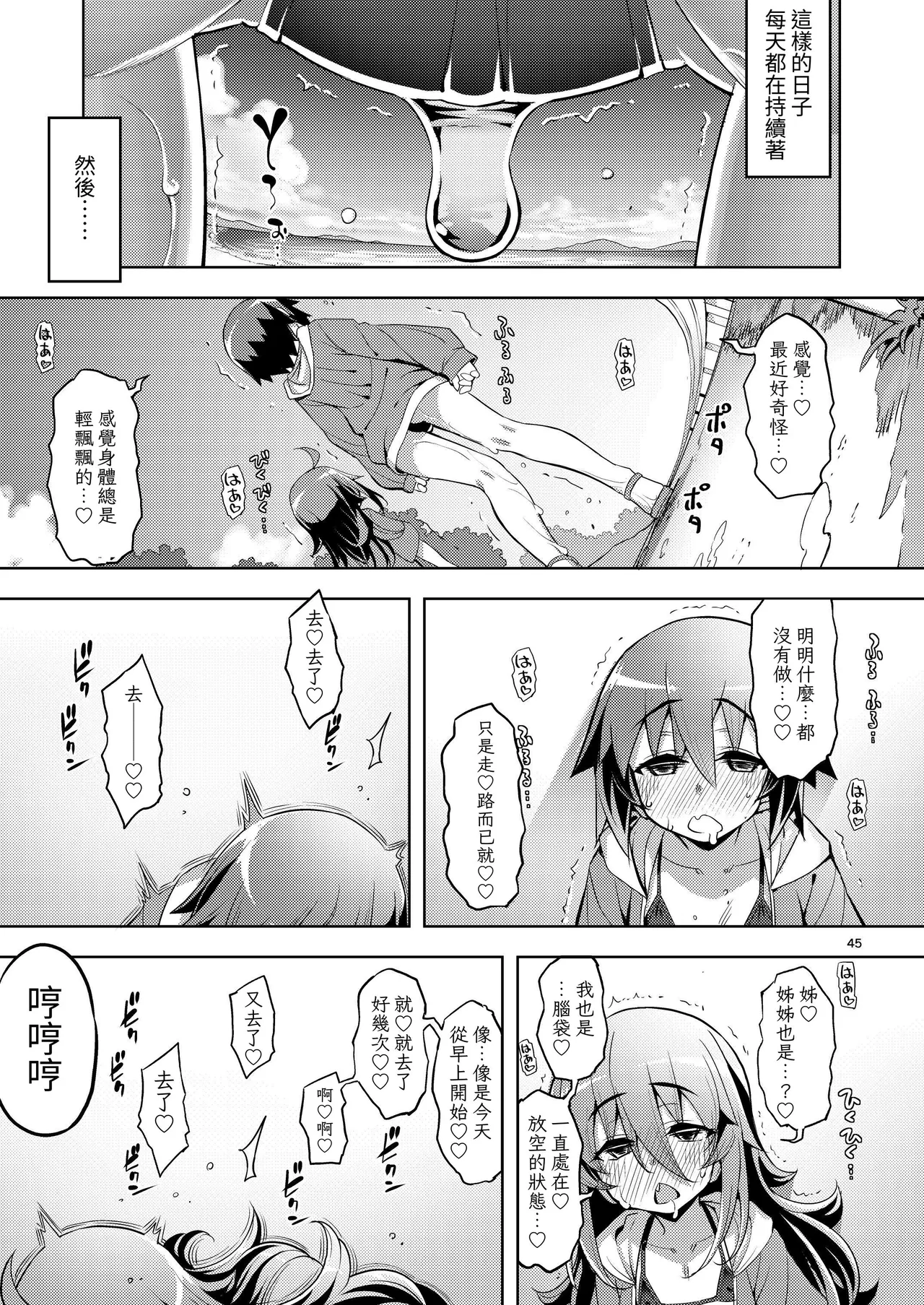 หน้า 45