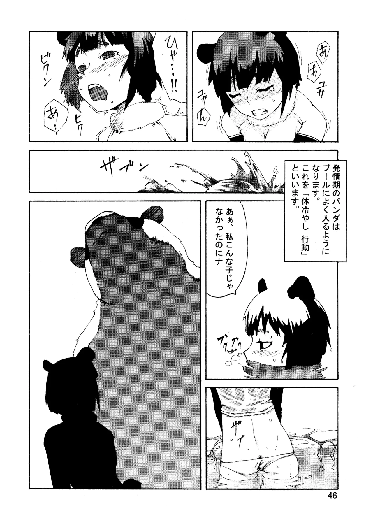 หน้า 45
