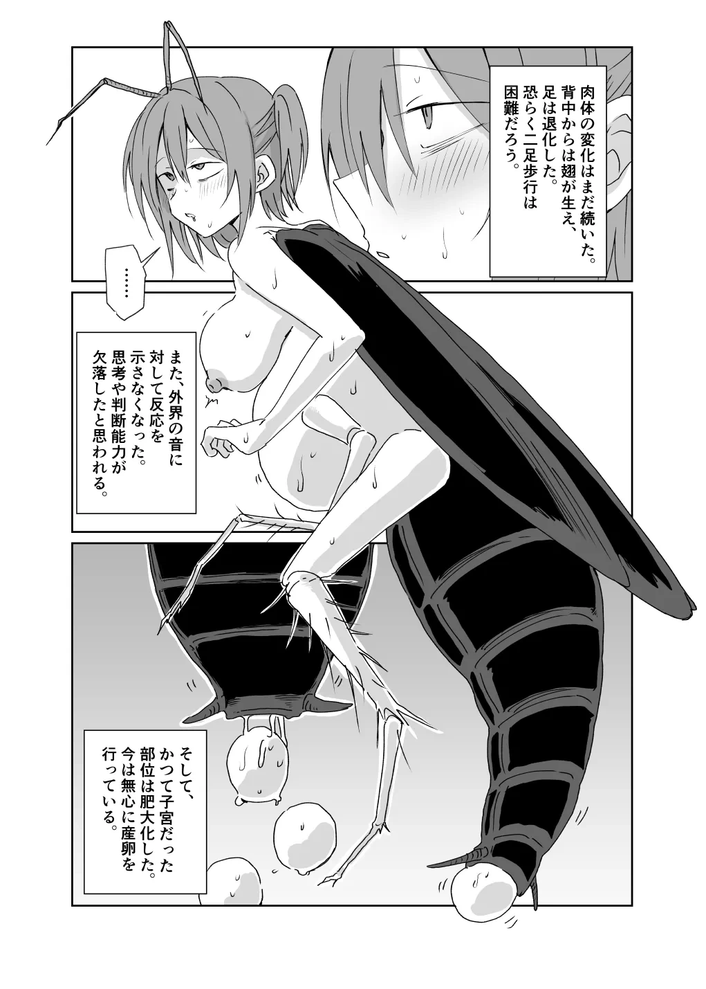 หน้า 13
