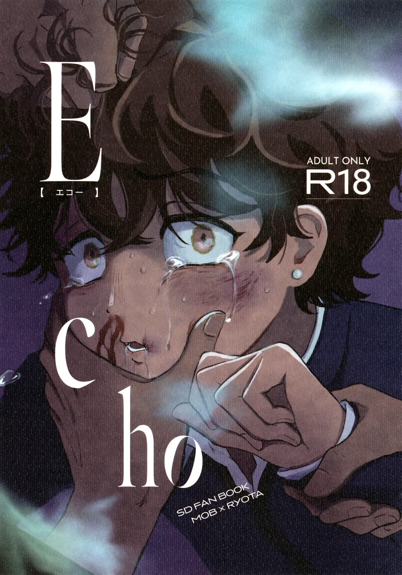 (ShotaFes 18) [Shiroi Heya (Wapin)] Echo (Slam Dunk)