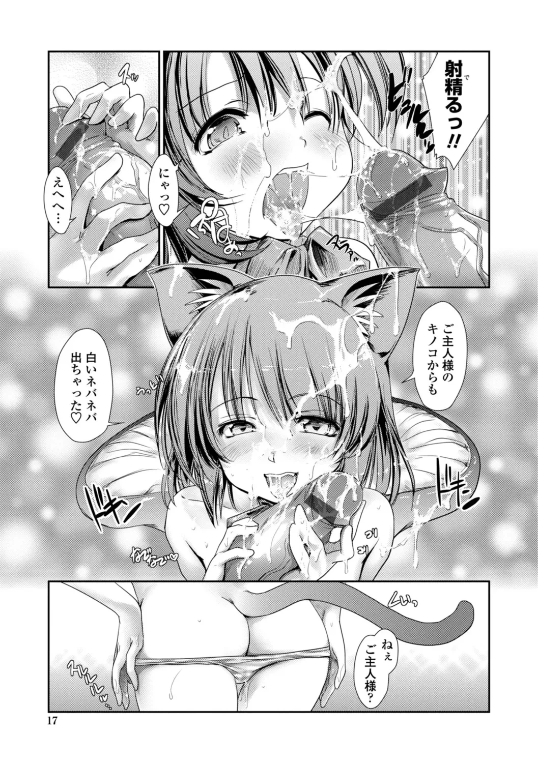 หน้า 17