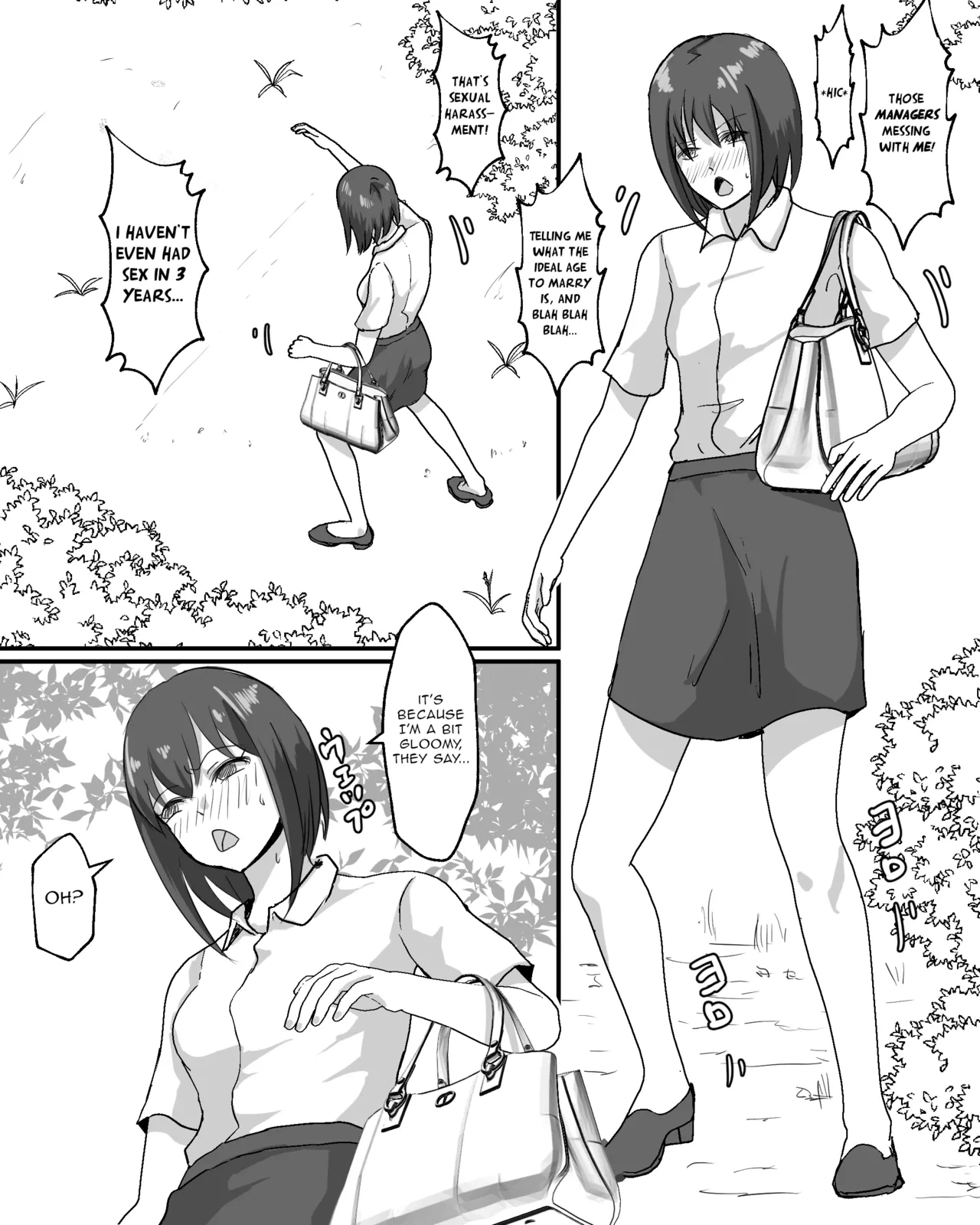 [Pinochika] Norainu to OL [English] [asdhll]
