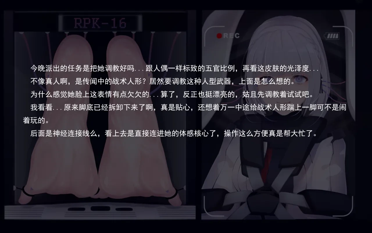 หน้า 252