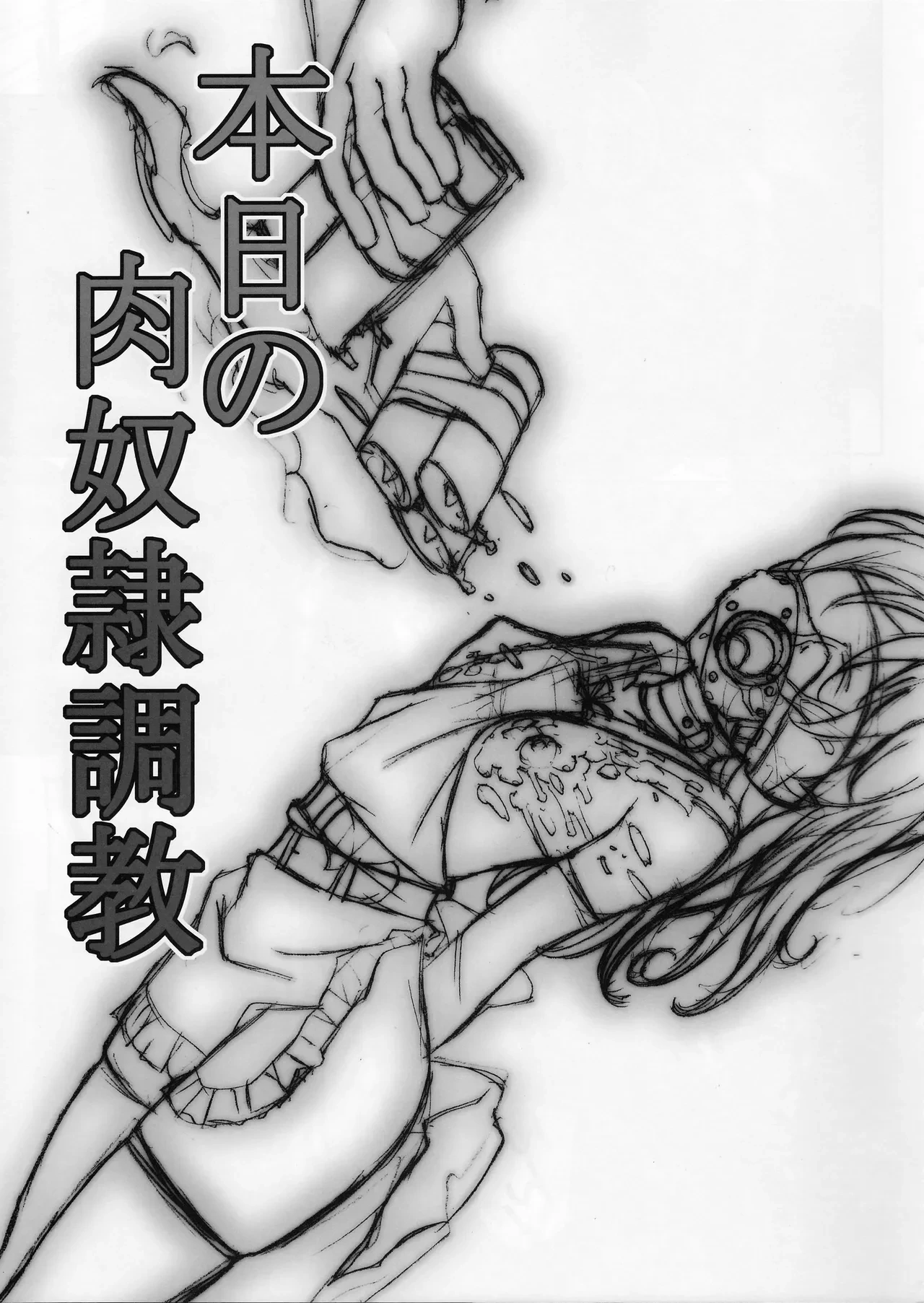 (C88) [Tairikukan Dandoudan Dan (Sakura Romako)] Honjitsu no Nikudorei Choukyou [Chinese]