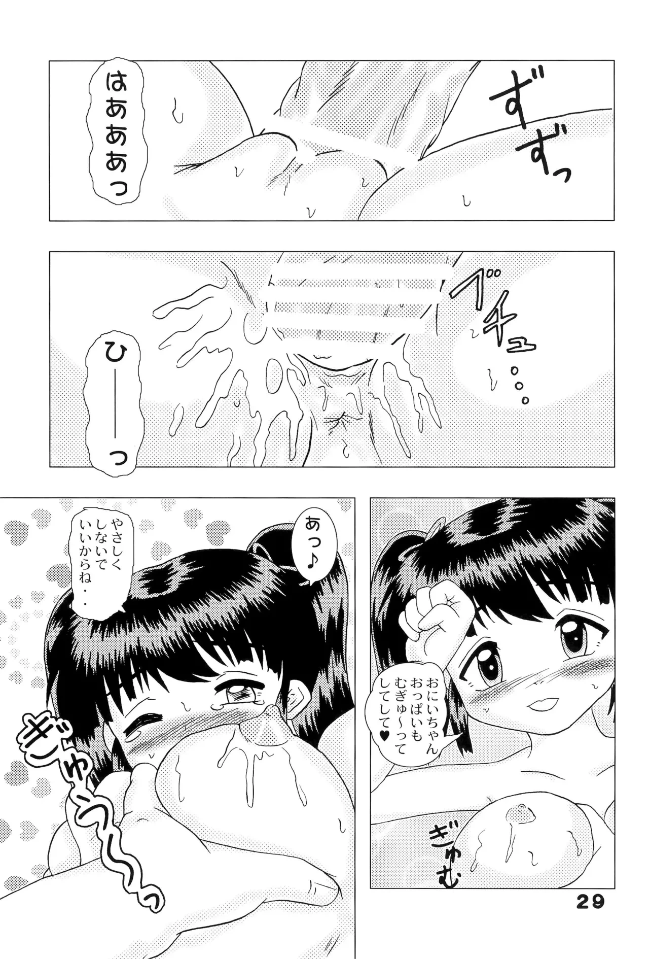 หน้า 29