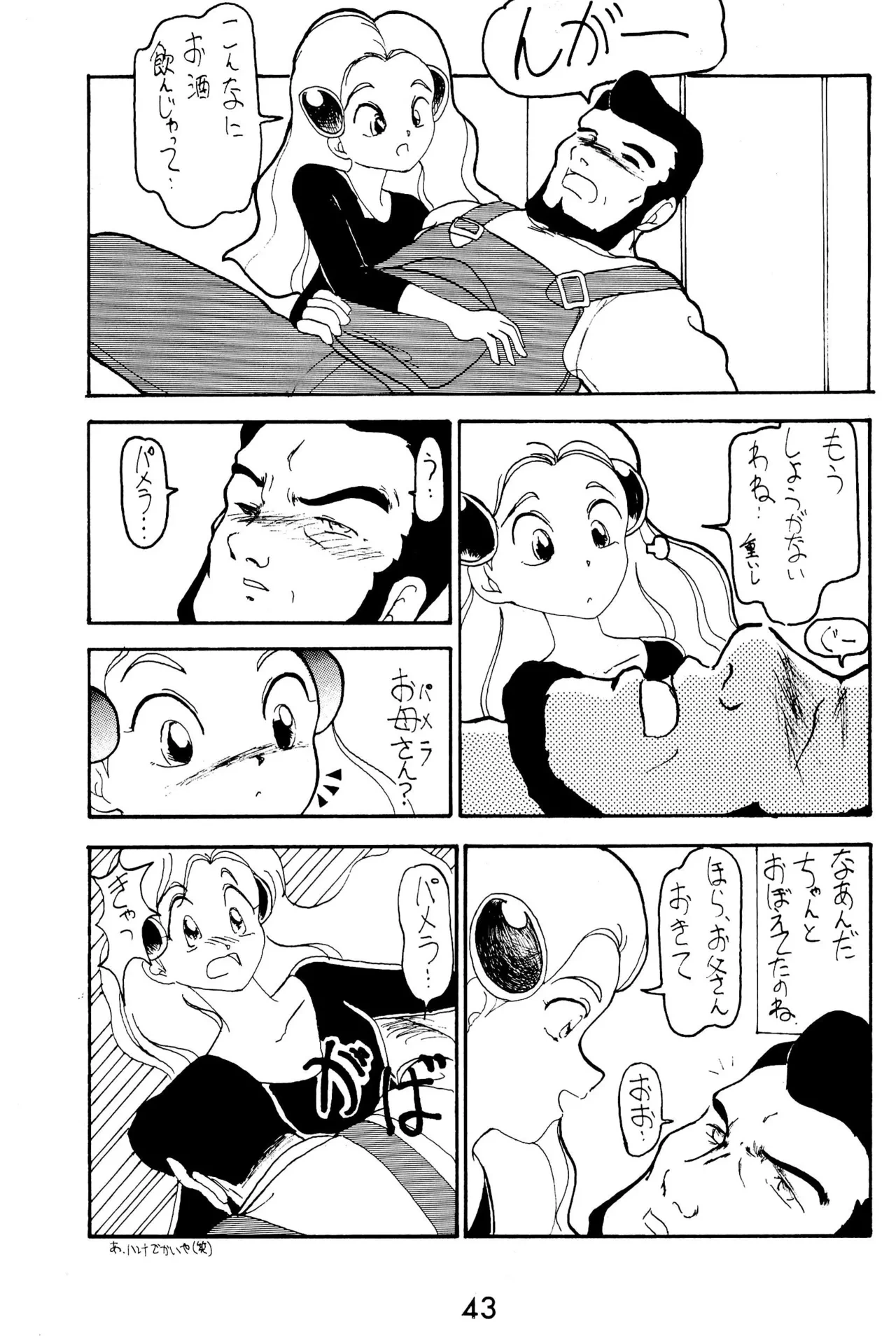 หน้า 43