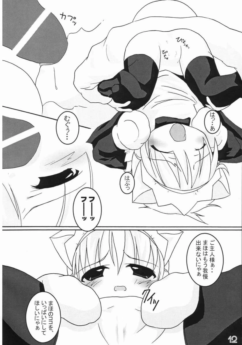 หน้า 11