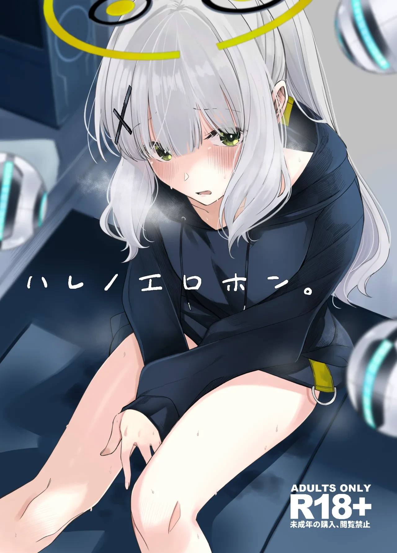 [Rodiura. (Rage)] Hare no Ero Hon. | 晴的本子。 (Blue Archive) [Chinese] [欶澜汉化组] [Digital]