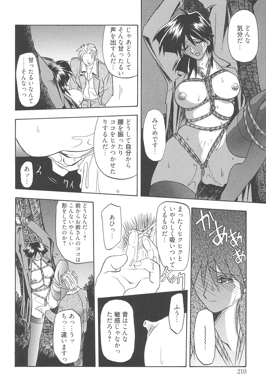 หน้า 209