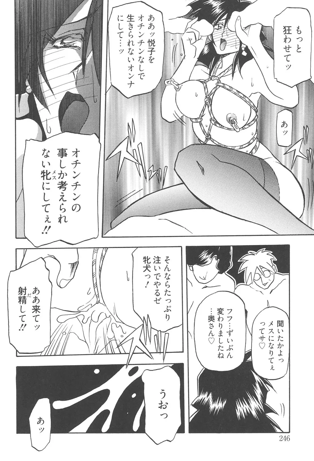 หน้า 245