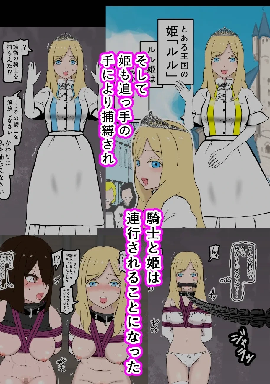 騎士・姫敗北拘束記録