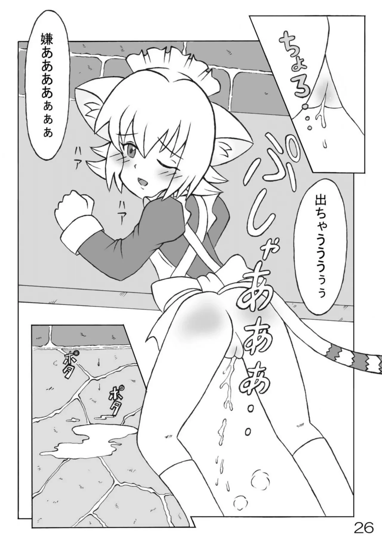 หน้า 27