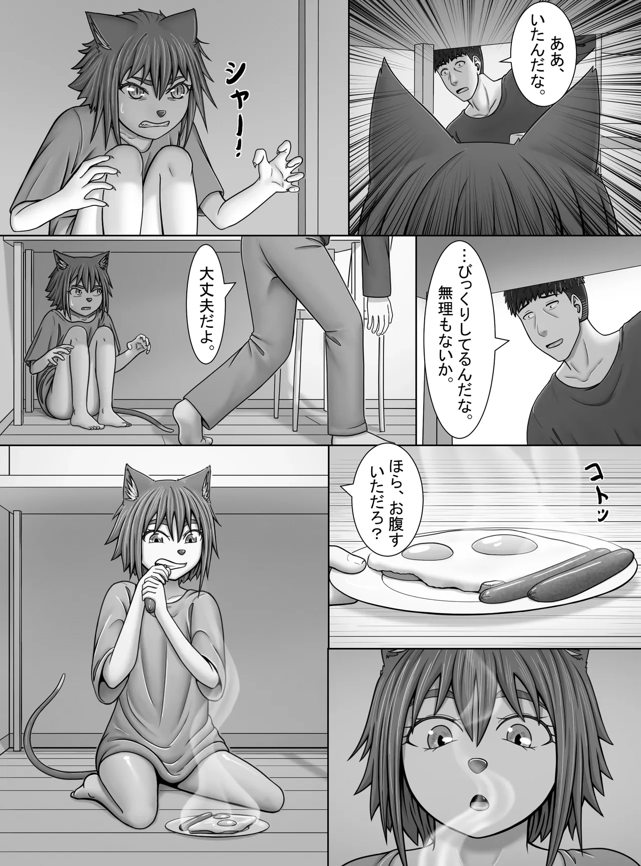 หน้า 11