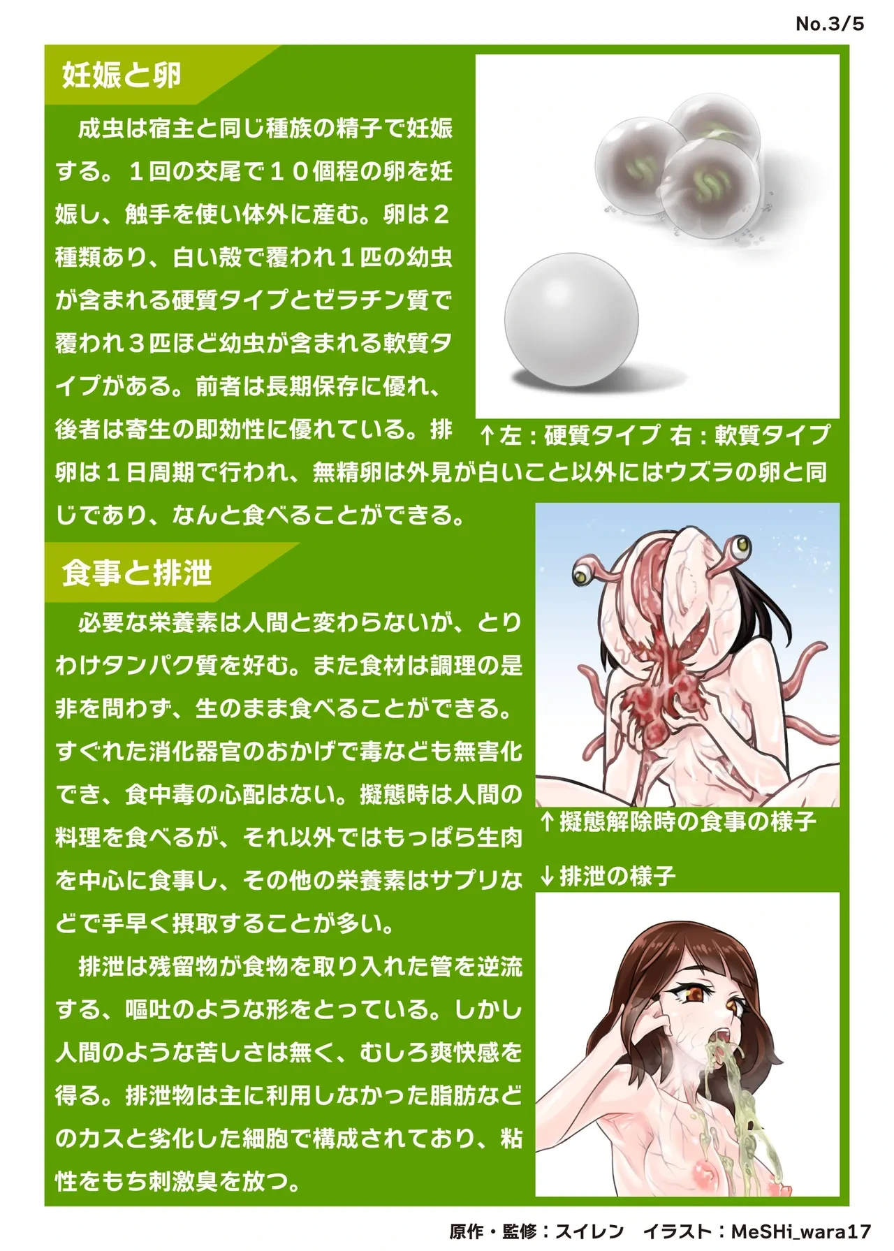 หน้า 17