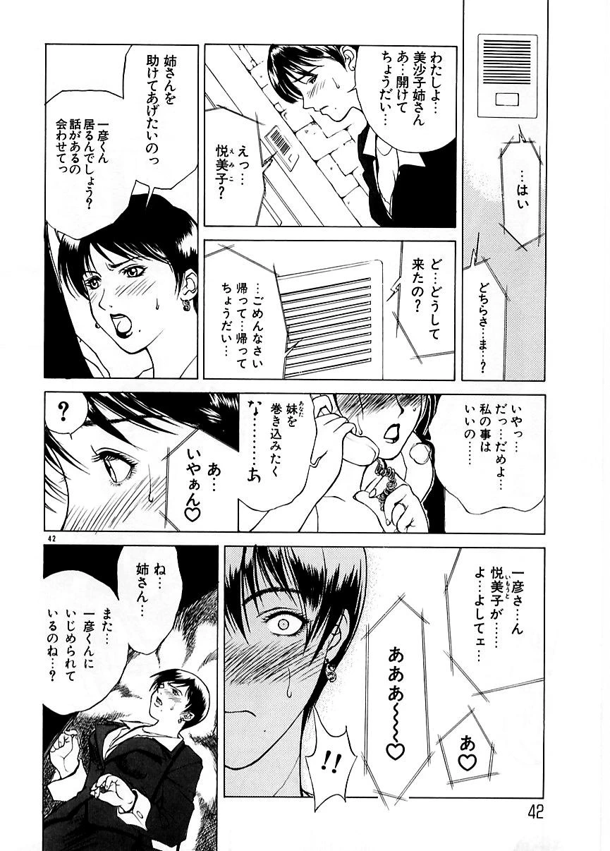 หน้า 41