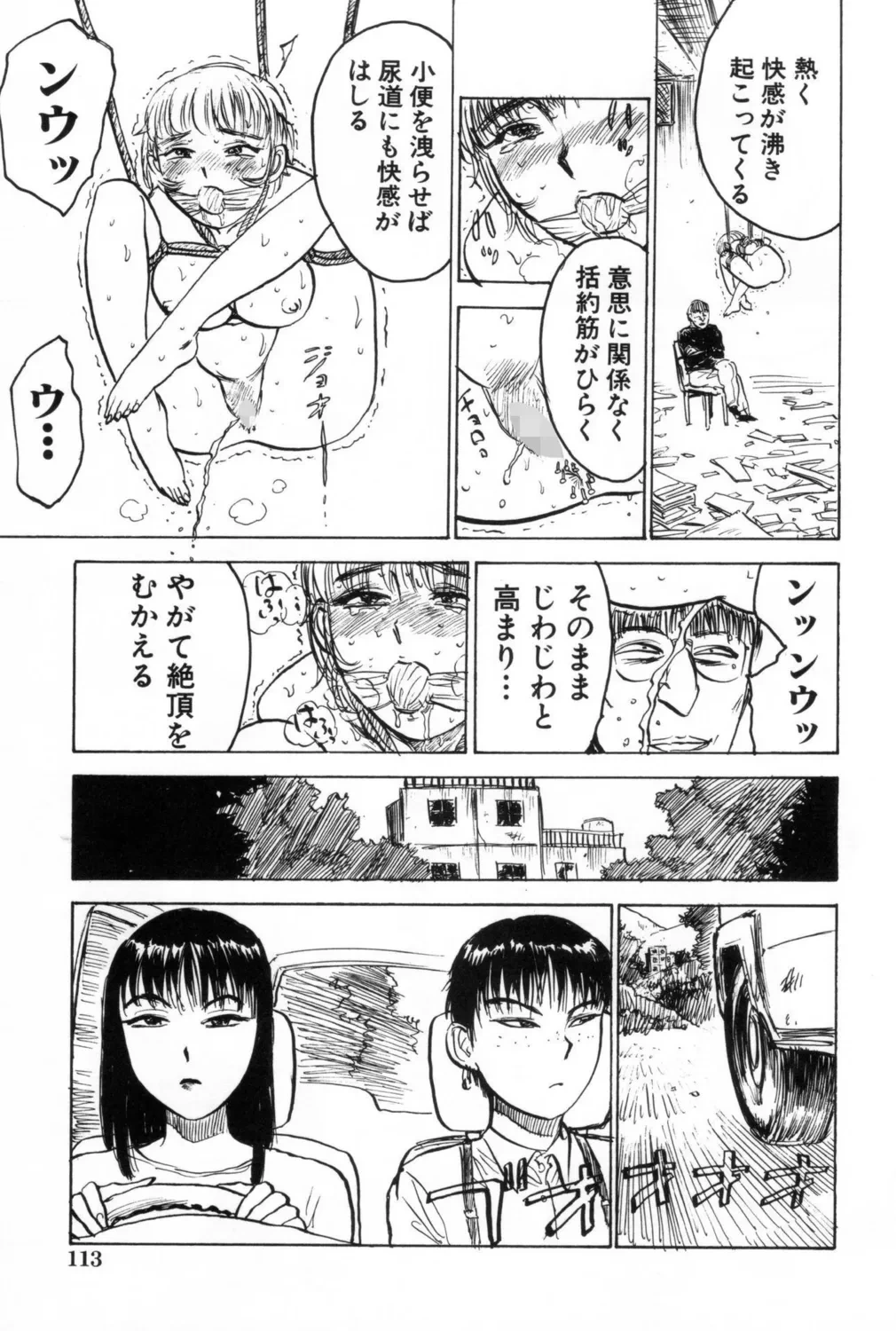 หน้า 113