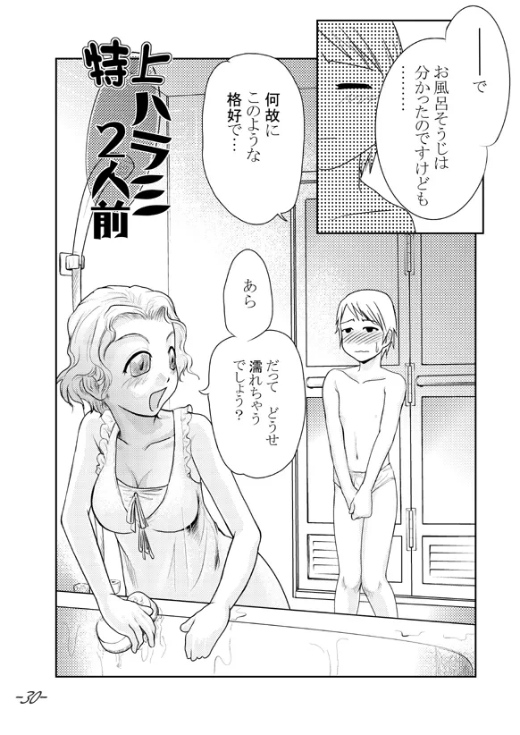 หน้า 30