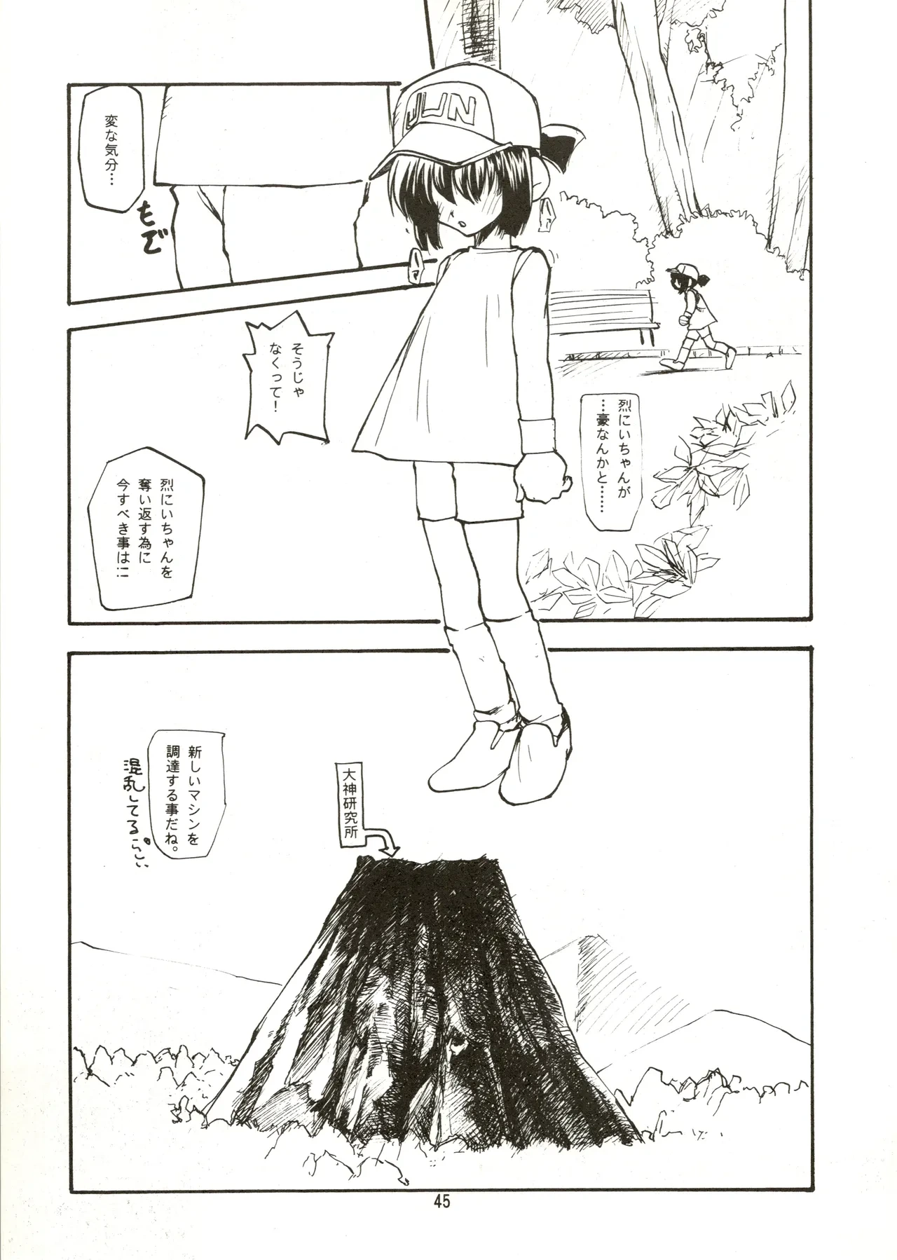 หน้า 45