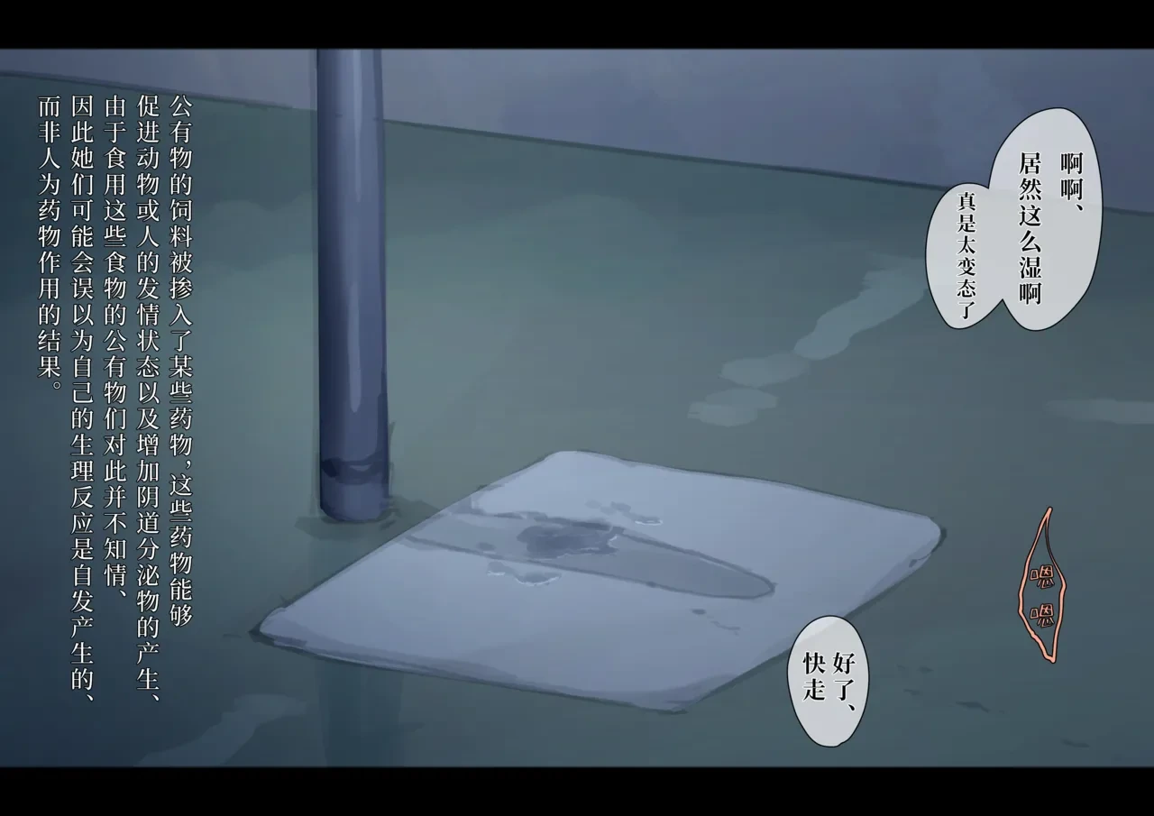 หน้า 494