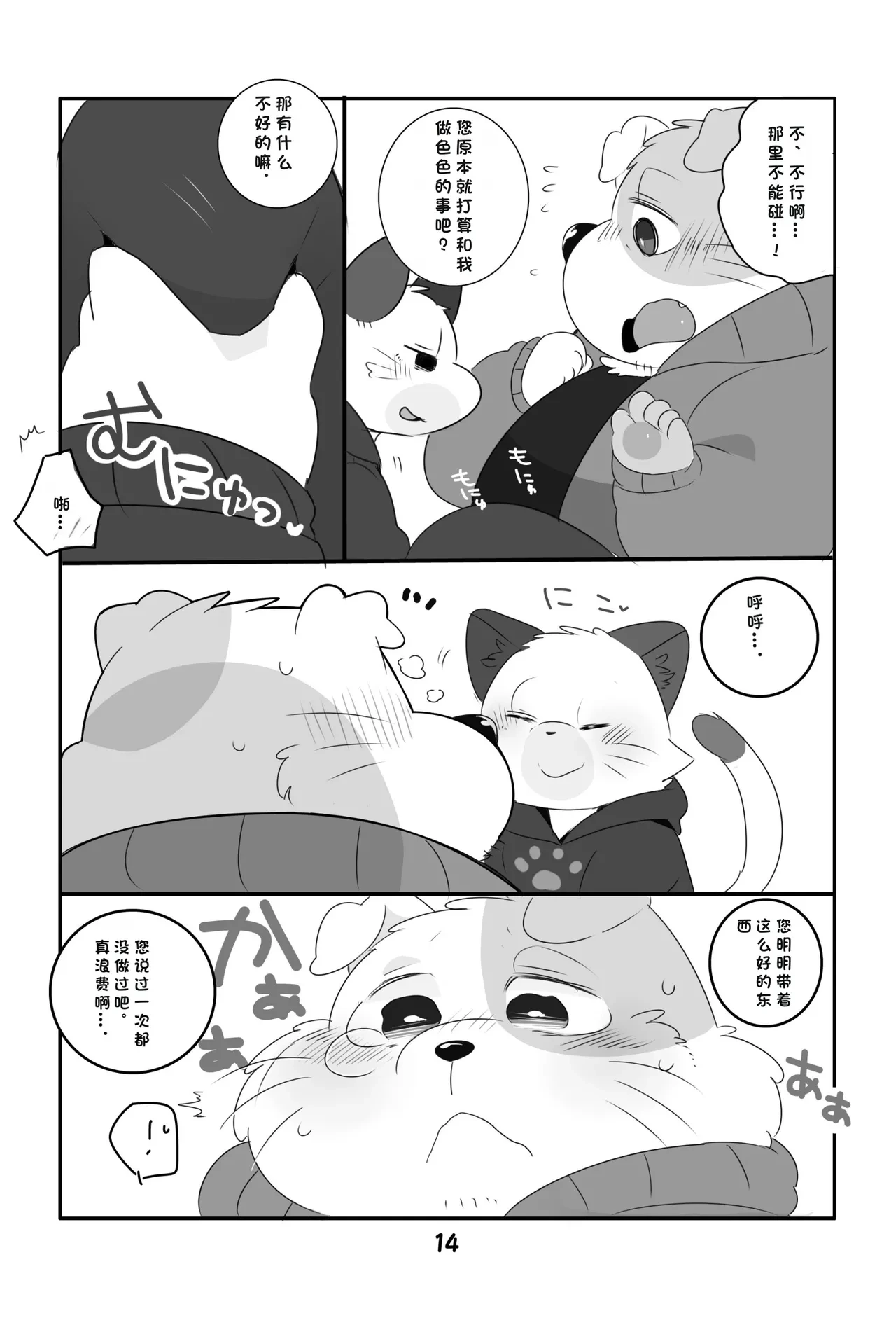 หน้า 13