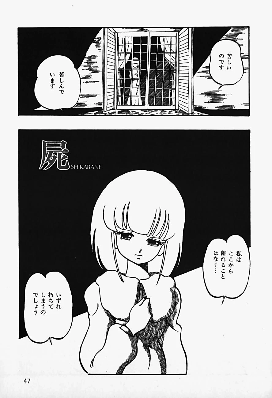 หน้า 49