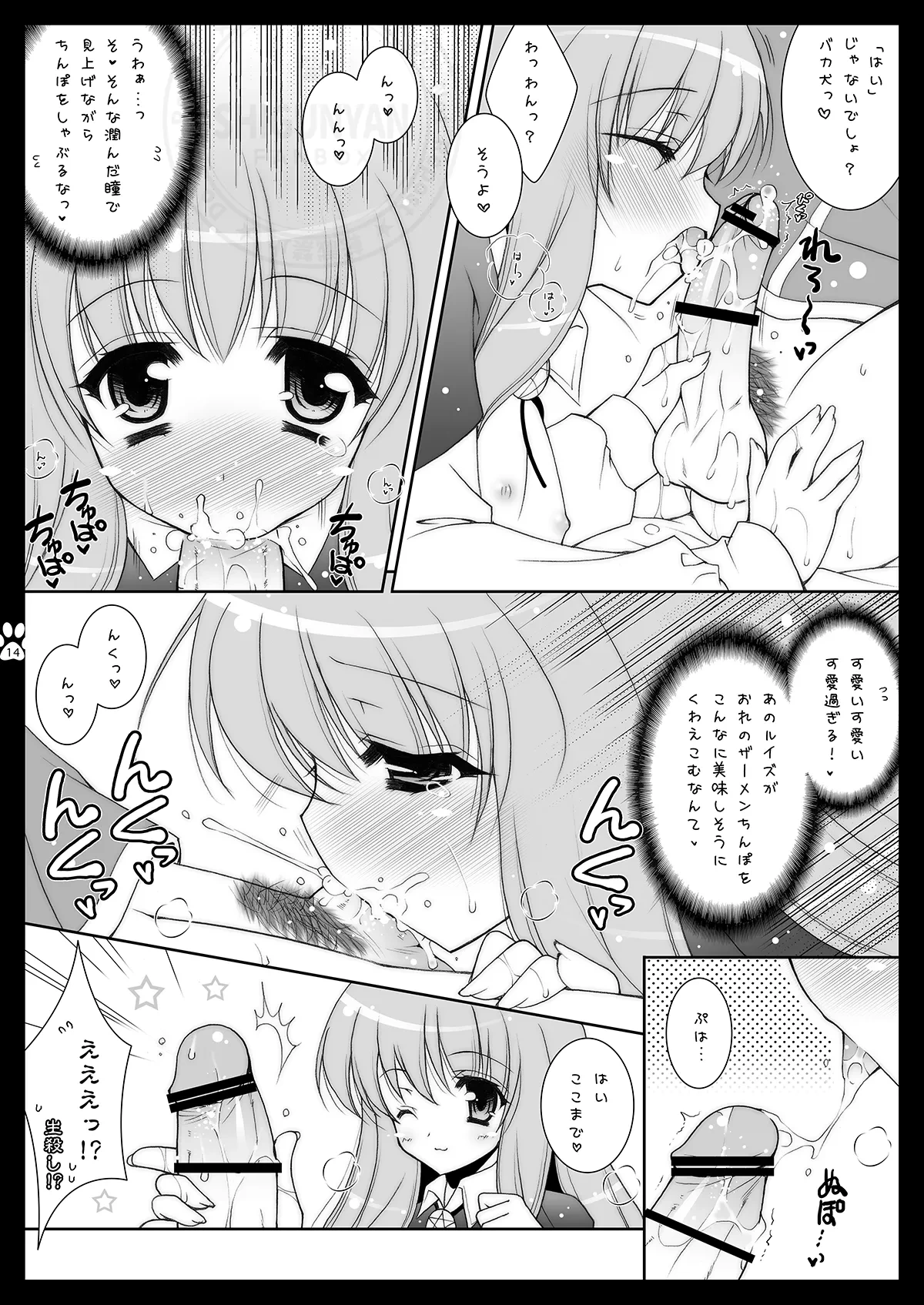 หน้า 13