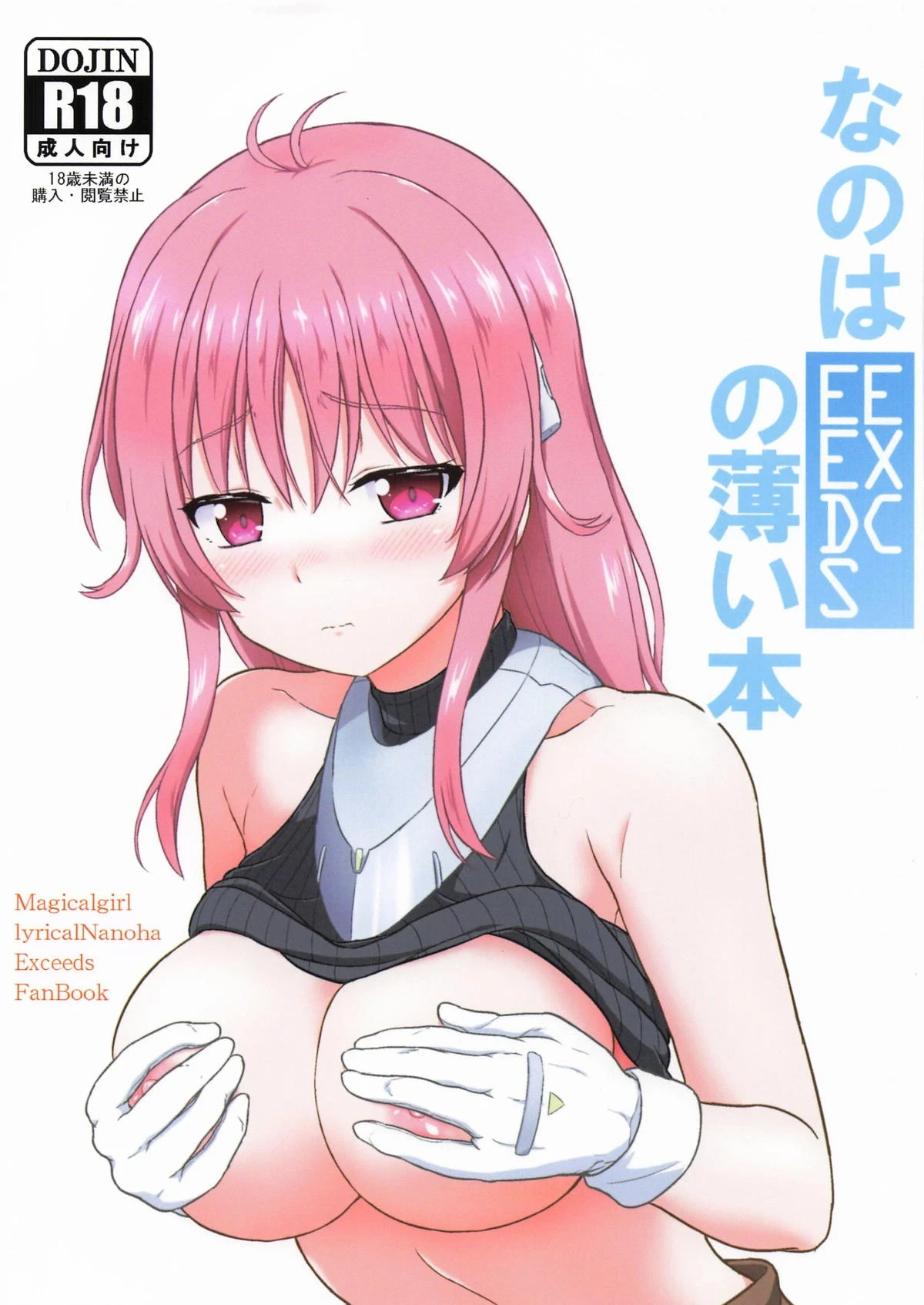 (C106) [Kuchiki no Uro (Enma Koorogi)] Nanoha EXCEEDS no Usui Hon (Mahou Shoujo Lyrical Nanoha)