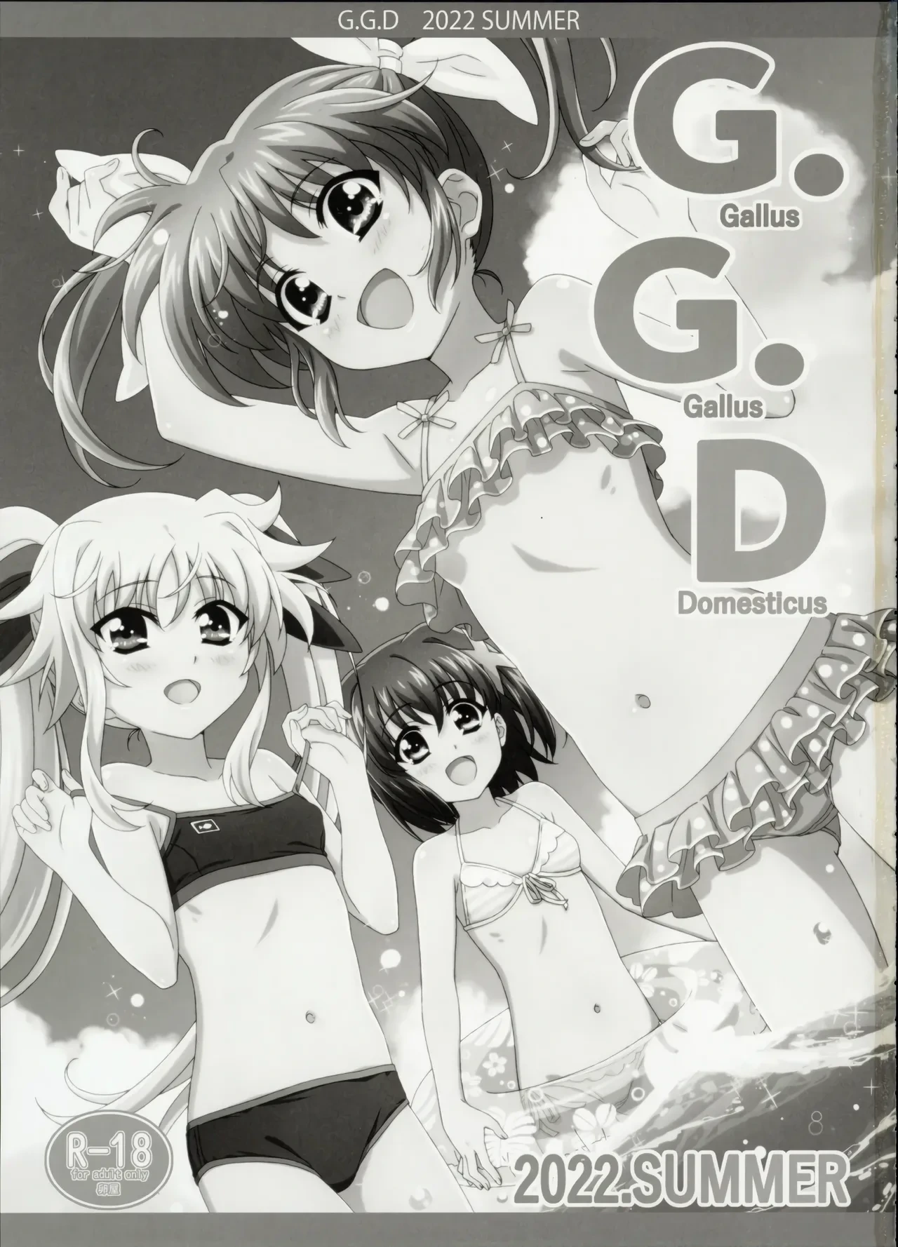 (C100) [Tamagoya (Miyajima Hitoshi)] Gallus.Gallus.Domesticus 2022.SUMMER (Mahou Shoujo Lyrical Nanoha)