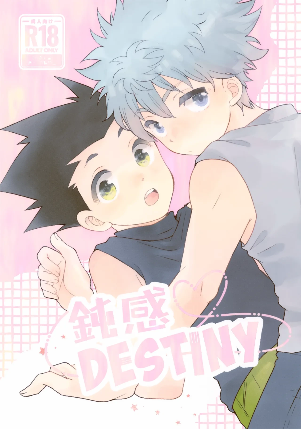 (Re:HUNTER 11) [SHIROZONE (Mizushiro Yuduki)] Donkan DESTINY (Hunter x Hunter)