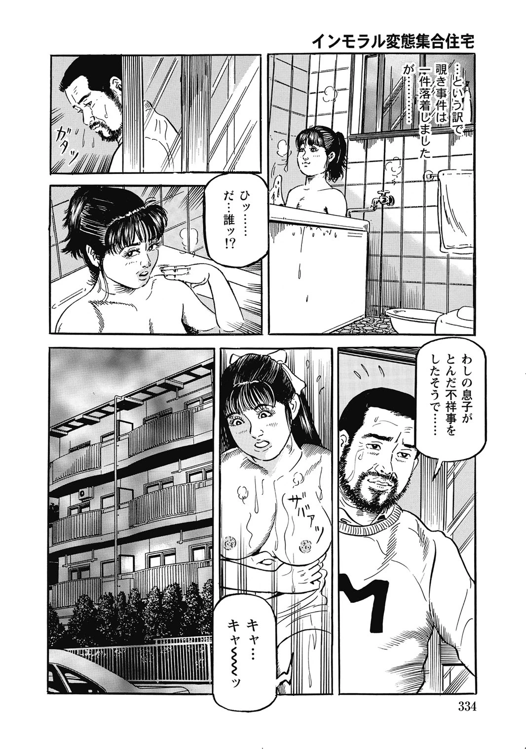 หน้า 333