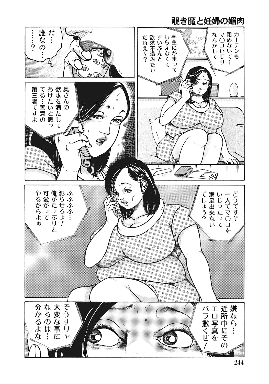 หน้า 243