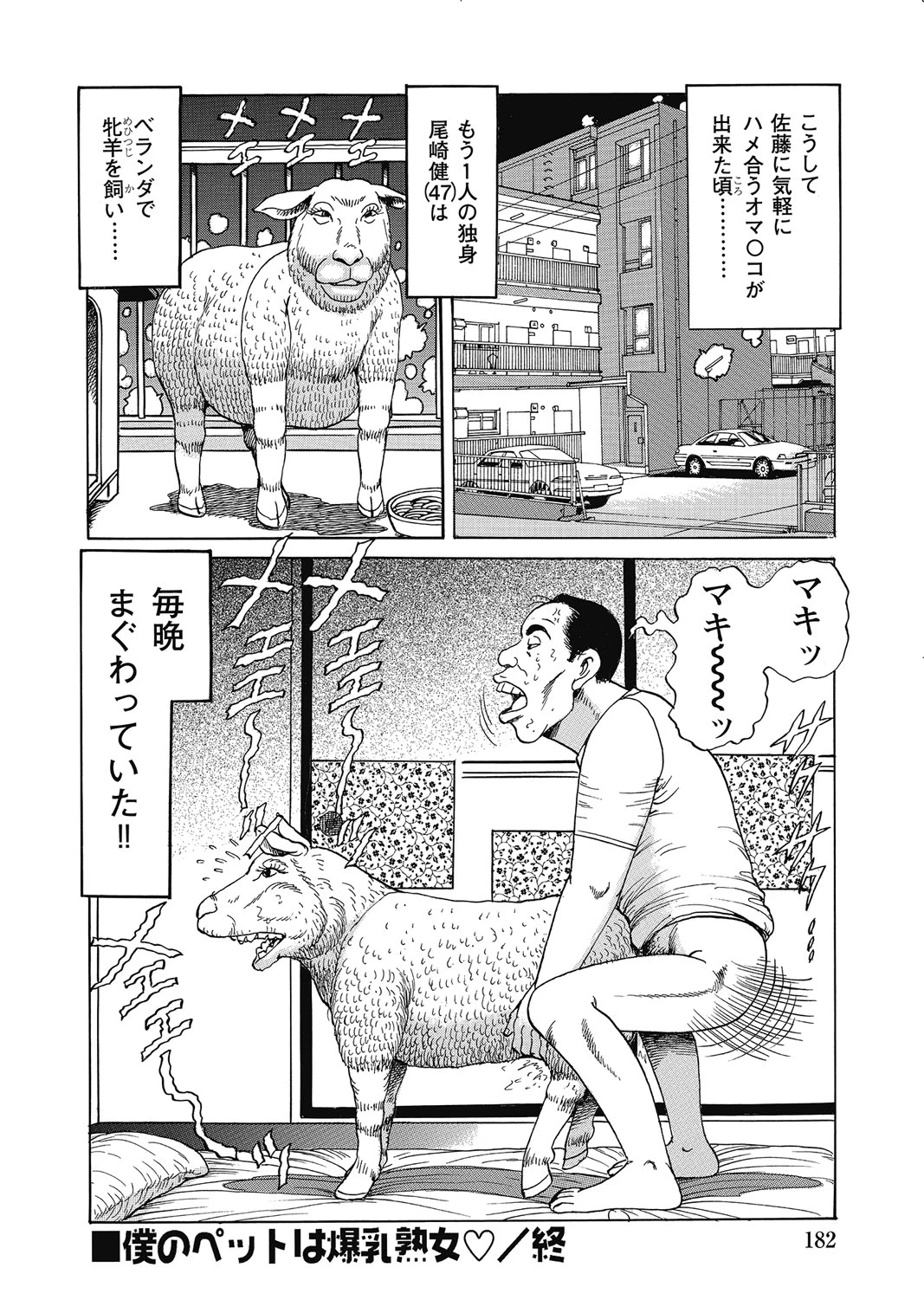 หน้า 181