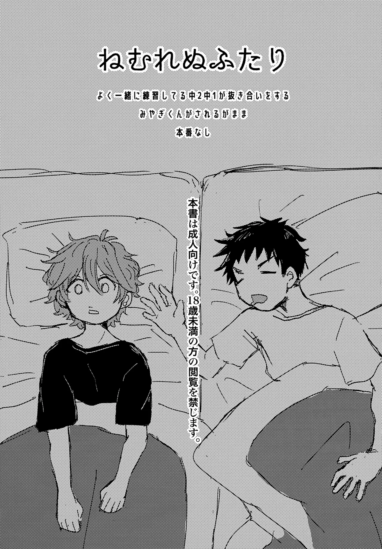 (BURST OUT 15) [Torigata no Pan (Uguwo)] Nemurenu Futari (Slam Dunk)