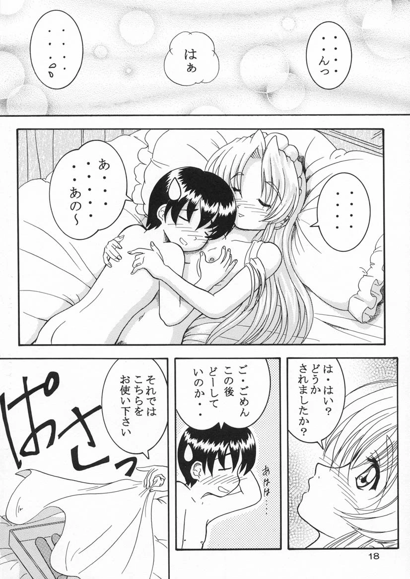 หน้า 17