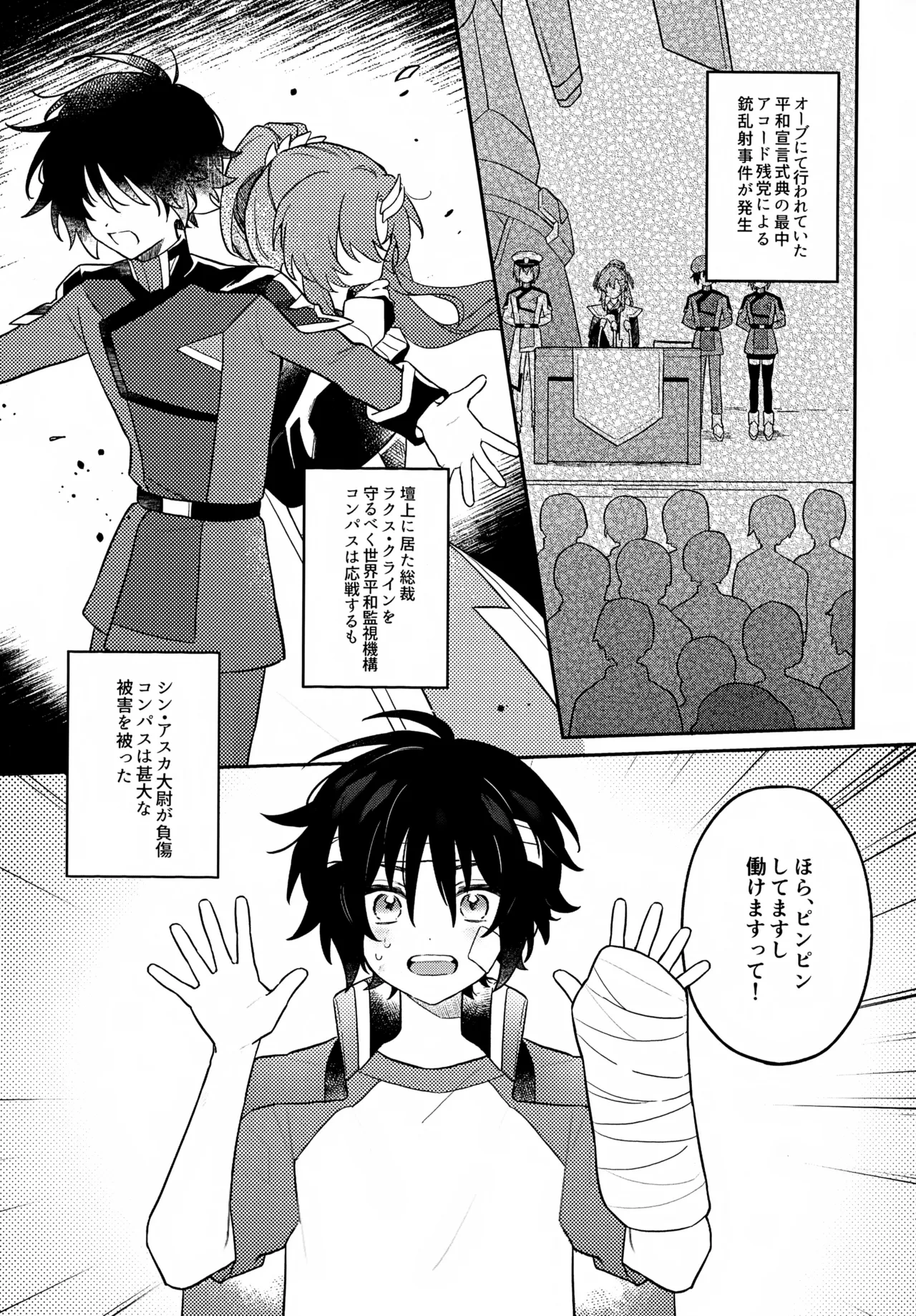 (GERMINATED 2) [BIG Nasu (Nasu)] Kimi no Shinzou ni Naritai (Gundam Seed)