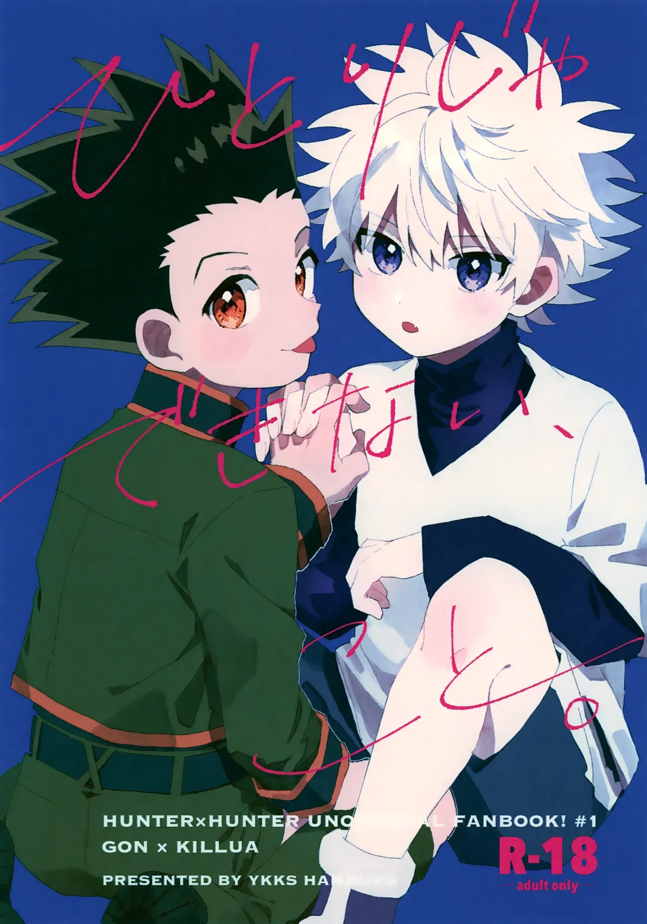 (Re:HUNTER 11) [YKKS Hamburg (Hirakawa)] Hitori ja Dekinai, Koto. (Hunter x Hunter)