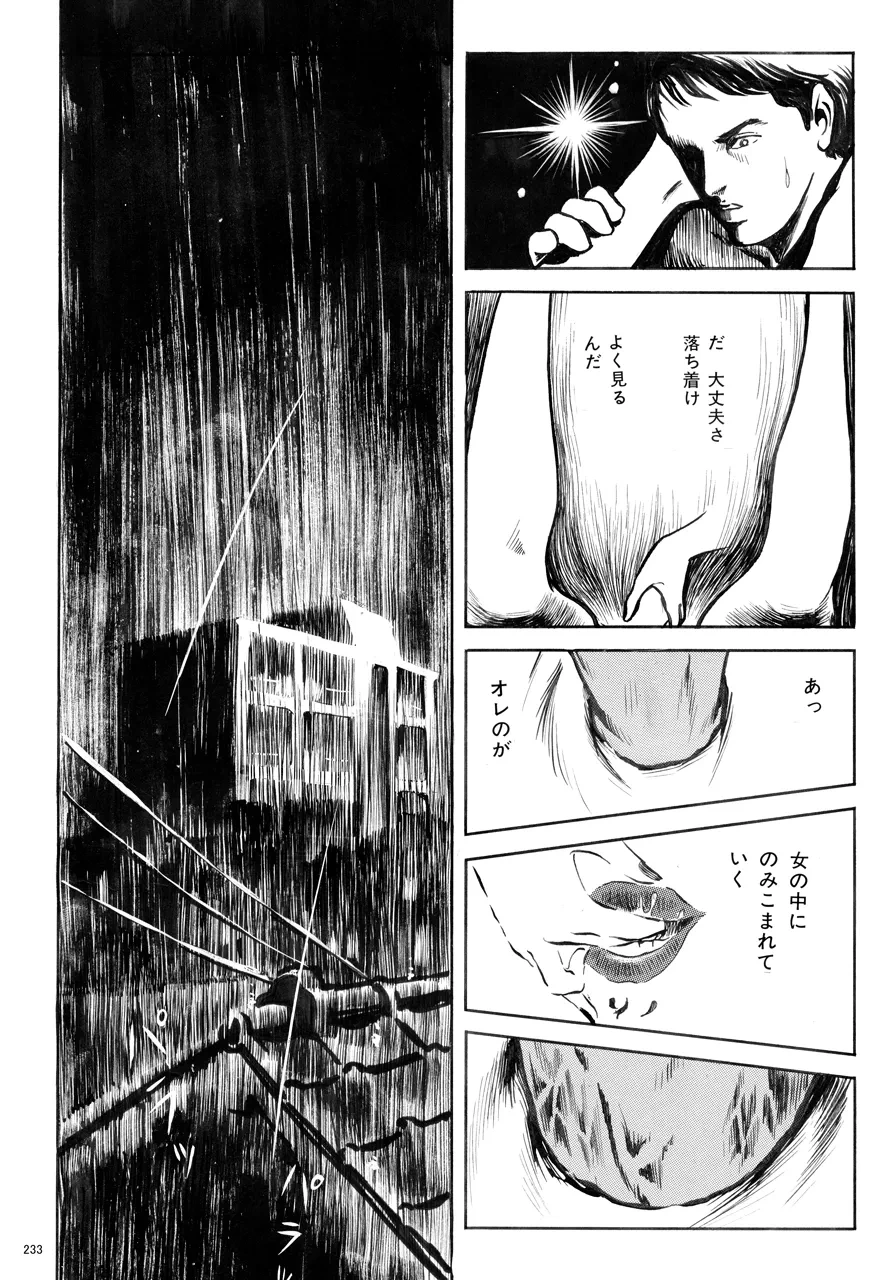 หน้า 234