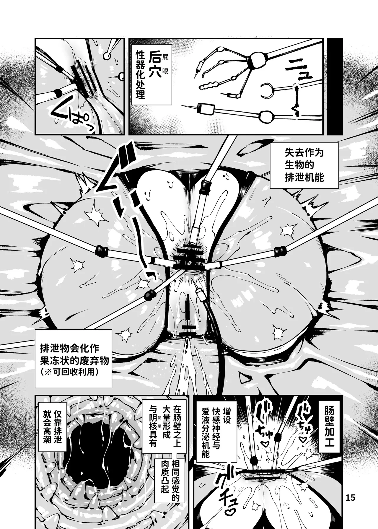 หน้า 15